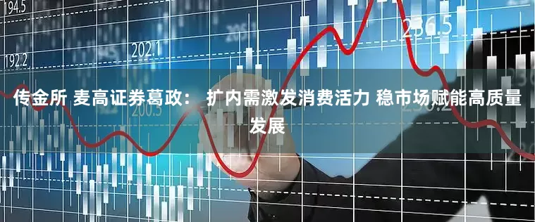 传金所 麦高证券葛政： 扩内需激发消费活力 稳市场赋能高质量发展
