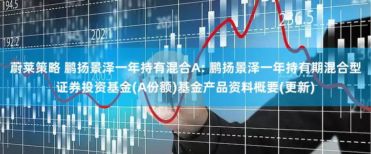 蔚莱策略 鹏扬景泽一年持有混合A: 鹏扬景泽一年持有期混合型证券投资基金(A份额)基金产品资料概要(更新)