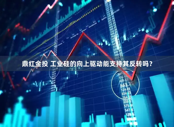鼎红金投 工业硅的向上驱动能支持其反转吗？