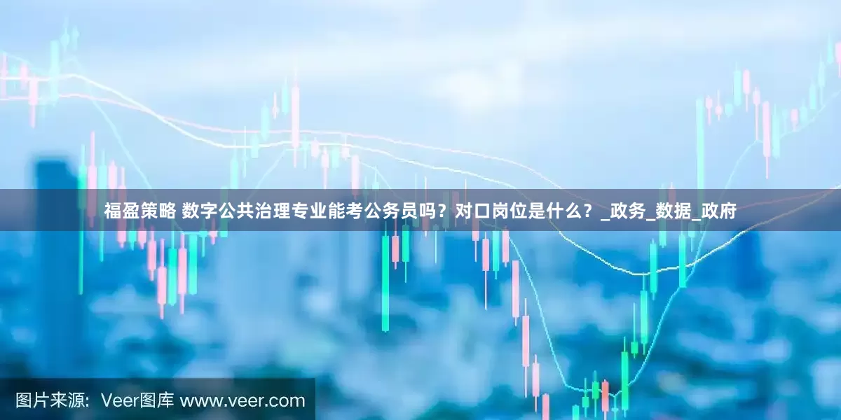 福盈策略 数字公共治理专业能考公务员吗？对口岗位是什么？_政务_数据_政府
